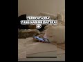 nih yang habisin bateray#feedshorts #kucing #videolucu