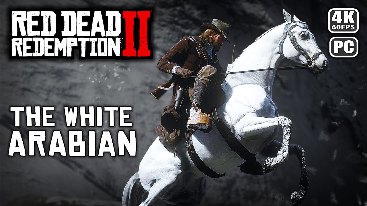 Taming the White Arabian Horse | Red Dead Redemption 2 - YouTube