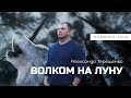 ПРЕМЬЕРА! ПОСЛУШАЙТЕ! Волком на луну Александр Терещенко