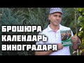 Календарь виноградаря - Брошюра для начинающих виноградарей!