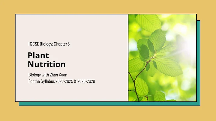 IGCSE Biology - Chapter 6 | Plant Nutrition