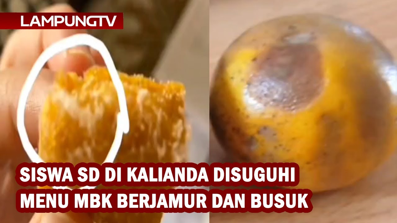 Siswa SD di Kalianda Disuguhi Menu MBG Berjamur dan Busuk