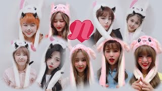 [팩토끼] 팩트인스타 에 토끼가 나타났다! 🐰🐰네이처(Nature)의 귀염뽀작 모먼트