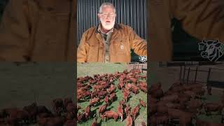 Herdtrack Is N Stelsel Deur Boere, Vir Boere