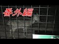【番外編】真夜中の動物達《夢見ヶ崎動物公園》 の動画、YouTube動画。