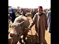 شحال تعطيوه نتوما المغرب اكسبلور المغرب الجزائر ضحك المغرب Memes Memes ضحك شحال تعطيوه نتوما المغرب اكسبلور المغرب الجزائر ضحك المغرب Memes Memes ضحك