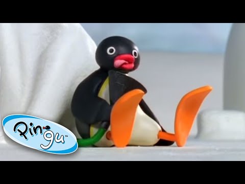 Pingu Plays with Science! | Pingu Official | Cartoons for Kids