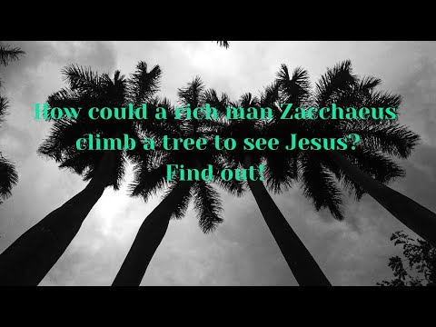 What Do We Learn From The Story Of Zacchaeus In The Bible