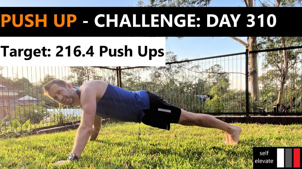 365 Day Push Up Challenge - Day 310 - YouTube