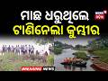 ମାଛ ଧରୁଥିଲେ, ଟାଣିନେଲା କୁମ୍ଭୀର | Jagatsinghpur Crocodile Attack | Fisherman Injured in Mahanadi