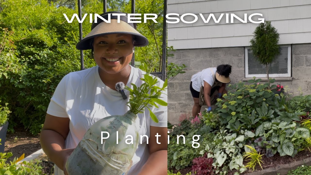 WINTER SOWING UPDATE || Planting it all in! #wintersowing - YouTube