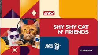 Shy Shy Cat ANTV