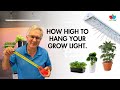 Ideal grow light distance and simple indoor garden setups for your apartment or home