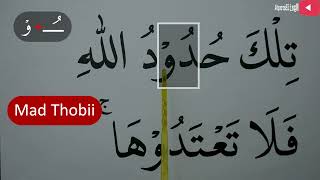 MENGURAI TAJWID SURAH AL BAQARAH AYAT 229 bag 2 ARTINYA, CARA BACA & CONTOH PENGUCAPANNYA  EPS 390