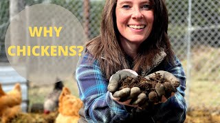 How to make EASY COMPOST with CHICKENS | HOW & WHY