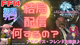 【FF14配信】今夜はこれで遊んでみよう！o(^▽^)o♥新人Vtuberファイナルファンタジー14／FINALFANTASYXIV ドラクエ10