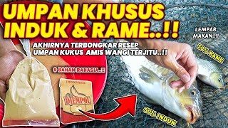 Download Lagu AKHIRNYA TERBONGKAR UMPAN KHUSUS INDUK \u0026 RAME !! RESEP RAHASIA TERJITU UMPAN KUKUS AMIS WANGI ❗❗ MP3 Download Lagu AKHIRNYA TERBONGKAR UMPAN KHUSUS INDUK \u0026 RAME !! RESEP RAHASIA TERJITU UMPAN KUKUS AMIS WANGI ❗❗ MP3