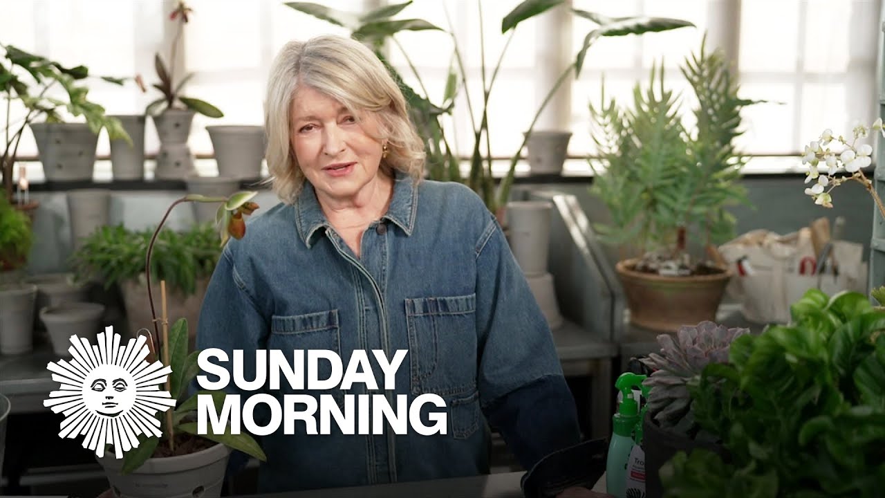 Martha Stewart on keeping houseplants