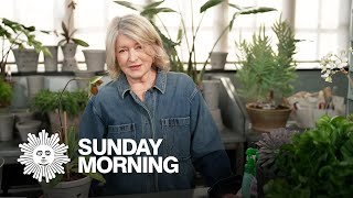 Martha Stewart On Keeping Houseplants