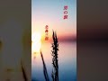【男の涙】 北島三郎 #shorts #男の涙 #北島三郎 #演歌