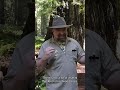 Are Birds' Songs Gangsta Rap?!      #naturelovers #environmentaleducation #birdsong