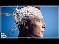 The 2021 Neuralink Update Is Here!