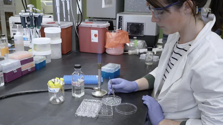 Susanna Harris, UNC Chapel Hill Shank Lab, Describ...