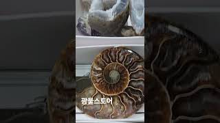 광물미네랄쇼#광물 #스토어팜 #광물스토어#화석 #어린이유튜버 #어니트래블#어니쌤