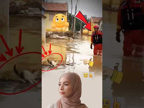 5 أنقذها واحتضنها مشهد لن تنساه القلوب رحمة الشهامة في أبهى صورها اكسبلور