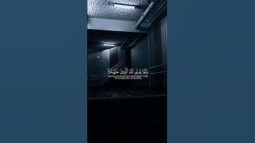 سورة آل عمران - القارئ: ياسر الدوسري