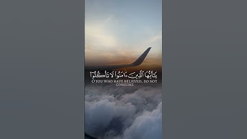 تلاوة خاشعة للشيخ محمد اللحيدان | وَاللَّهُ يُرِيدُ أَنْ يَتُوبَ عَلَيْكُمْ…#قرآن