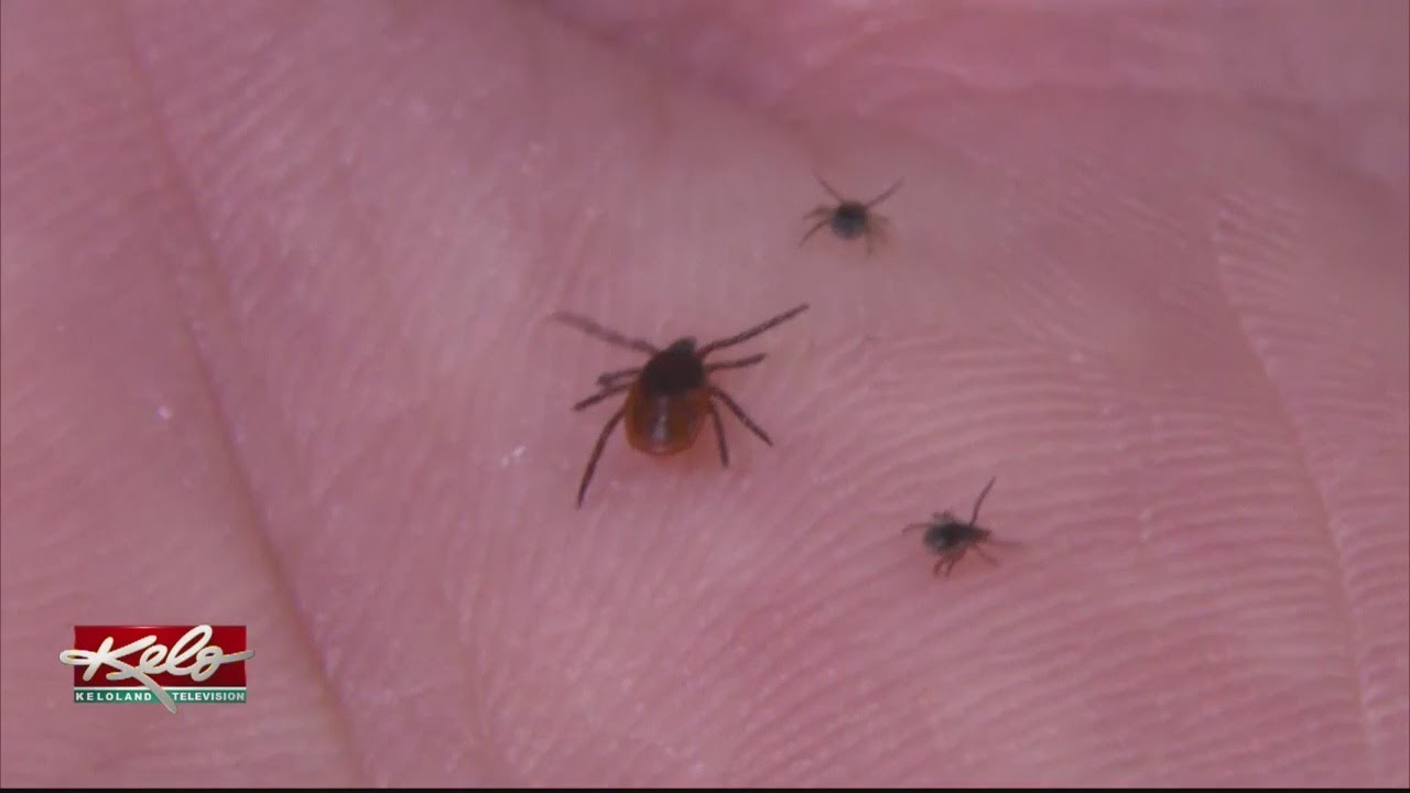 Lyme Disease In All 50 States