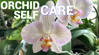 Orchid Care = Self Care screenshot 3