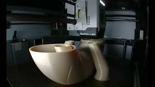 Pot de fleur décoratif en impression 3D 🌿✨ Design moderne et unique !