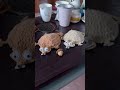 Handmade With a Twist - These handmade crochet animal coasters literally come alive under your mug.