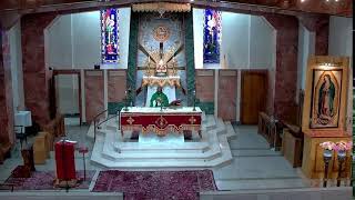 Thursday Eighth week in Ordinary Time