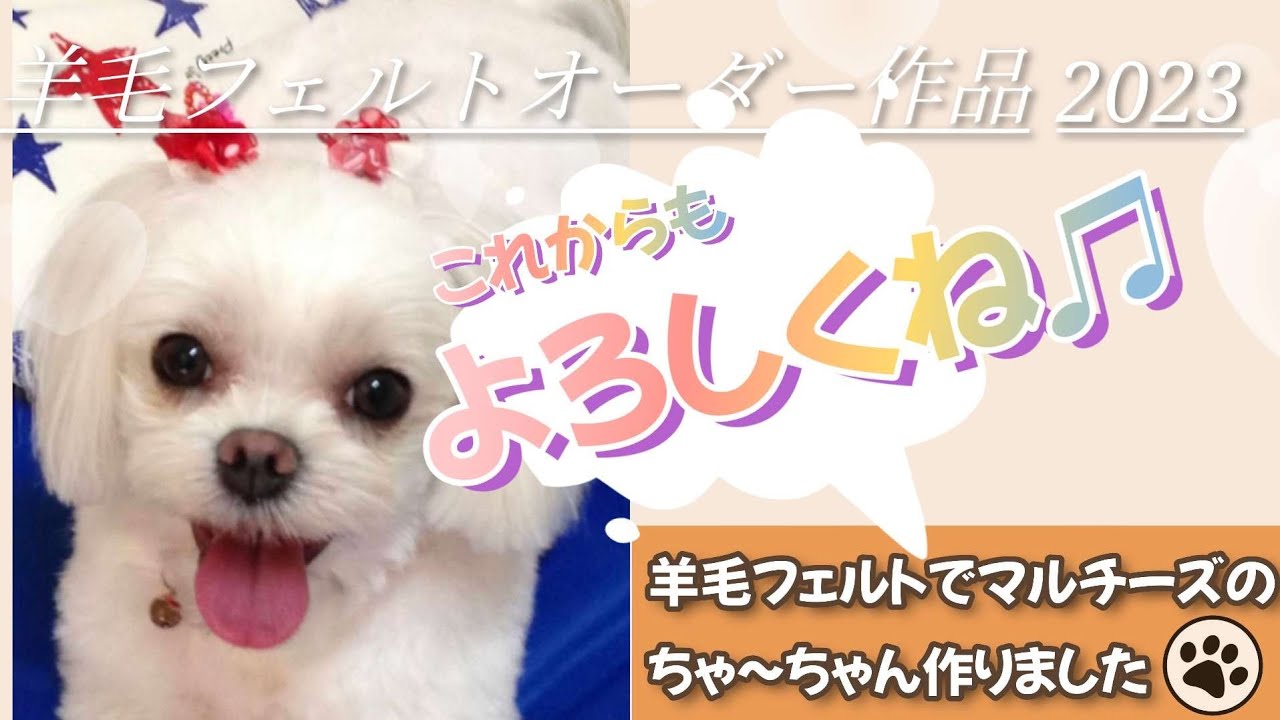 これからもよろしくね♫】羊毛フェルトオーダー作品 マルチーズのちゃ 