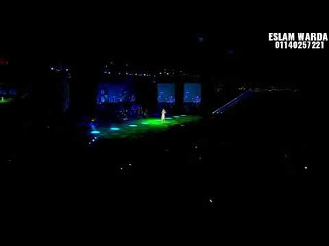 مكنتش اعرف قلبي هيحبك كده حالات واتس