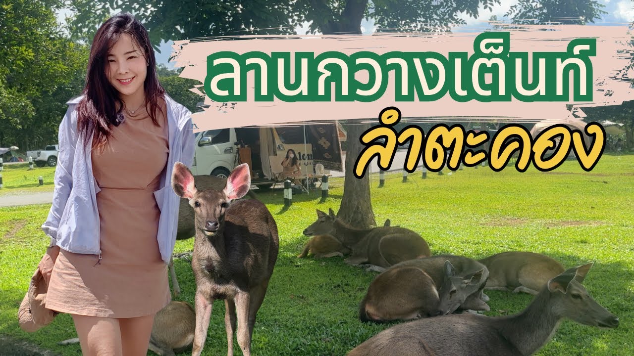 ลานกางเต็นท์ลำตะคอง เขาใหญ่ | วิวอ่างเก็บน้ำ + หมอกยามเช้า ทำไมสายแคมป์ถึงฮิตไปกันที่นี่