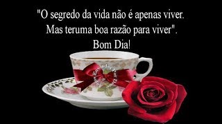 Bom dia gente linda!