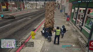 WIELKA WATACHA W AKCJI AUUU