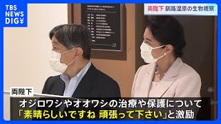 天皇皇后両陛下　釧路湿原野生生物保護センターでシマフクロウなど絶滅危惧種の保護の取り組みを視察｜TBS NEWS DIG