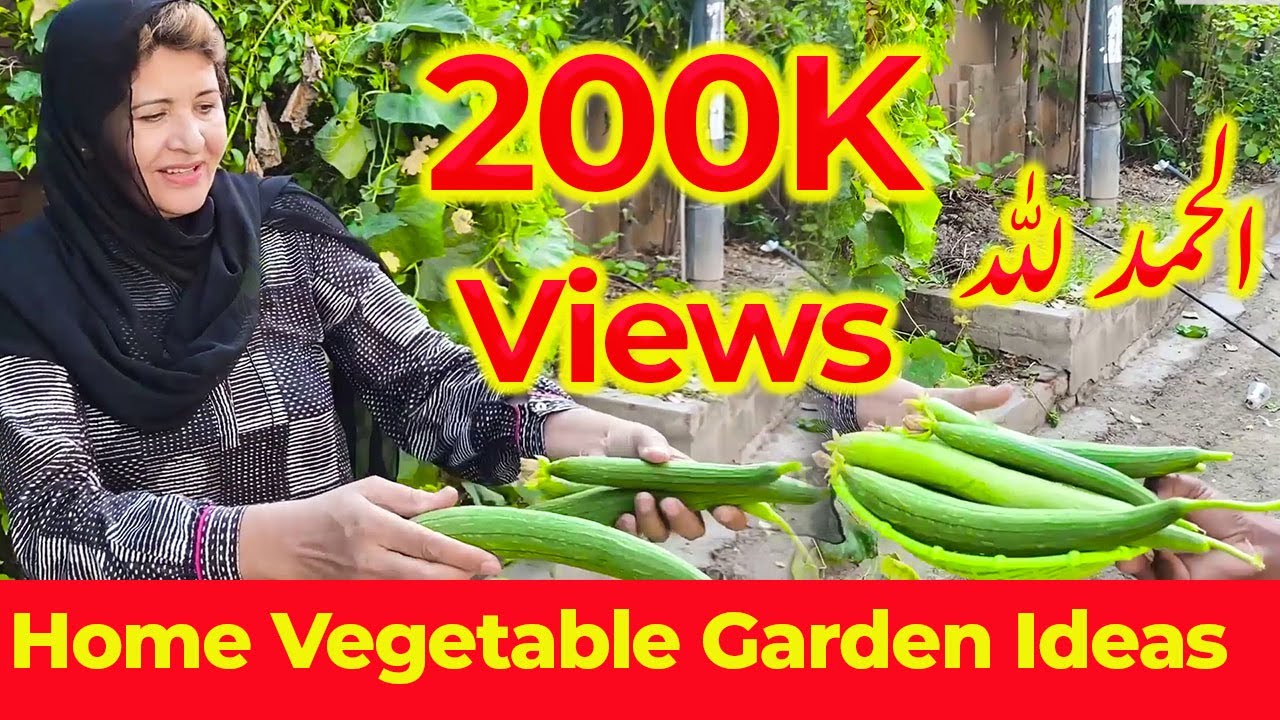10 Tips For Growing Plants In Your Home Garden Home Vegetable Garden