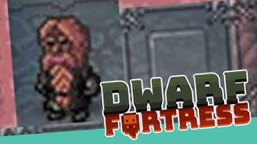 Koyote974 LIVE - Dwarf Fortress - Let