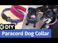 DIY Paracord Dog Collar | Small, Medium, Large Size | Sea Lemon