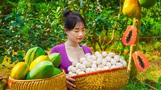 Harvesting Egg, MASSIVE PAPAYA Goes To Market Sell - Cooking & Preserving chicken Eggs | Lý Thị Ca