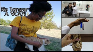 Why I'm No Longer A Veterinary Care Assistant VCA