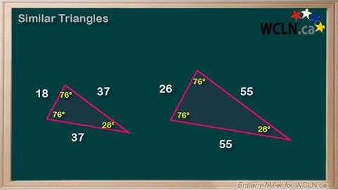 WCLN - Similar Triangles