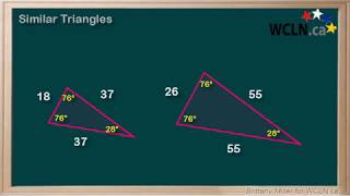 WCLN - Similar Triangles
