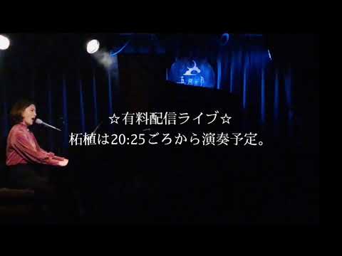 柘植向日子生ピアノ弾き語り配信ライブのお知らせ